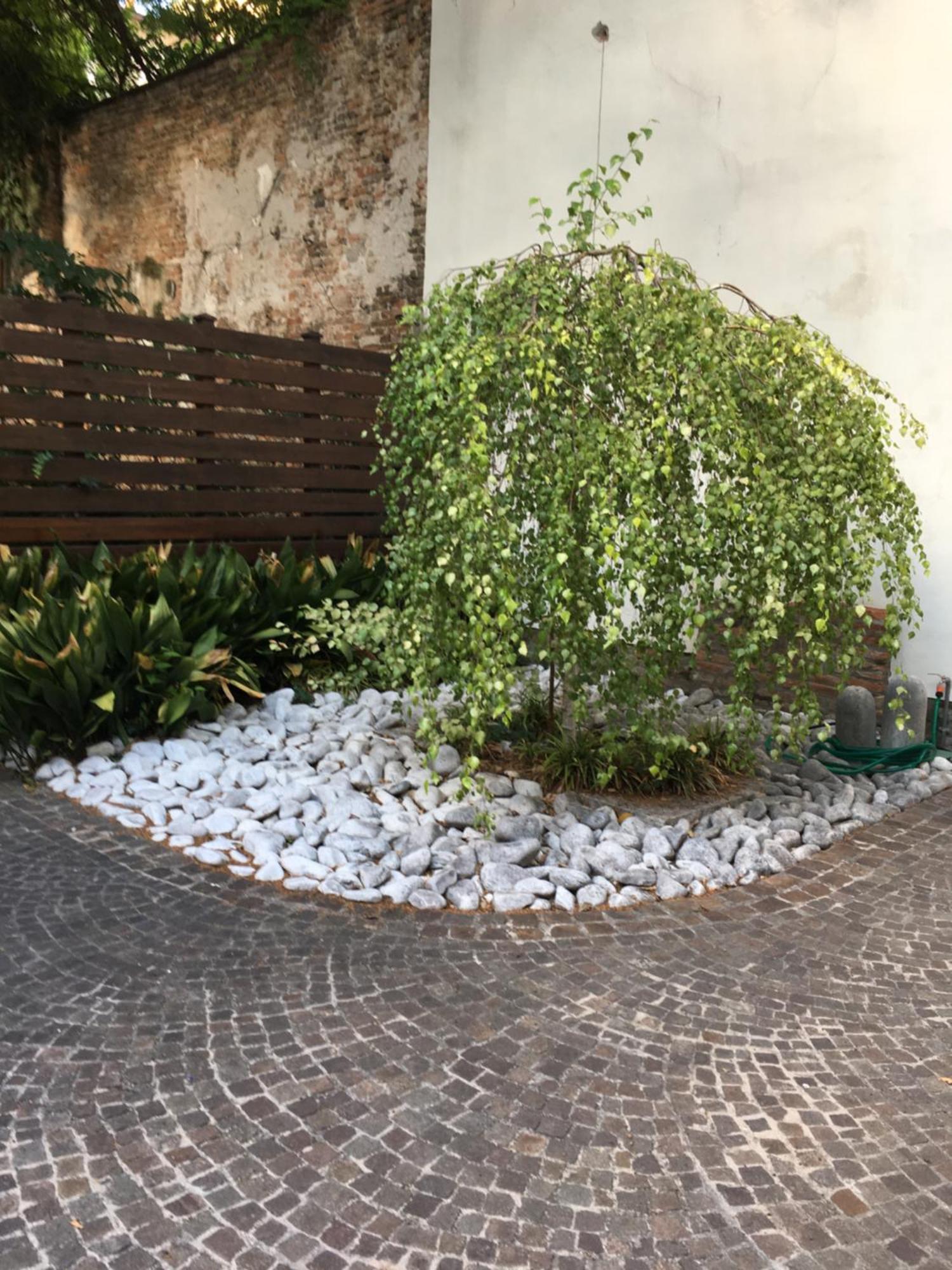 Appartamento La Betulla Mantova Esterno foto